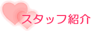 スタッフ紹介